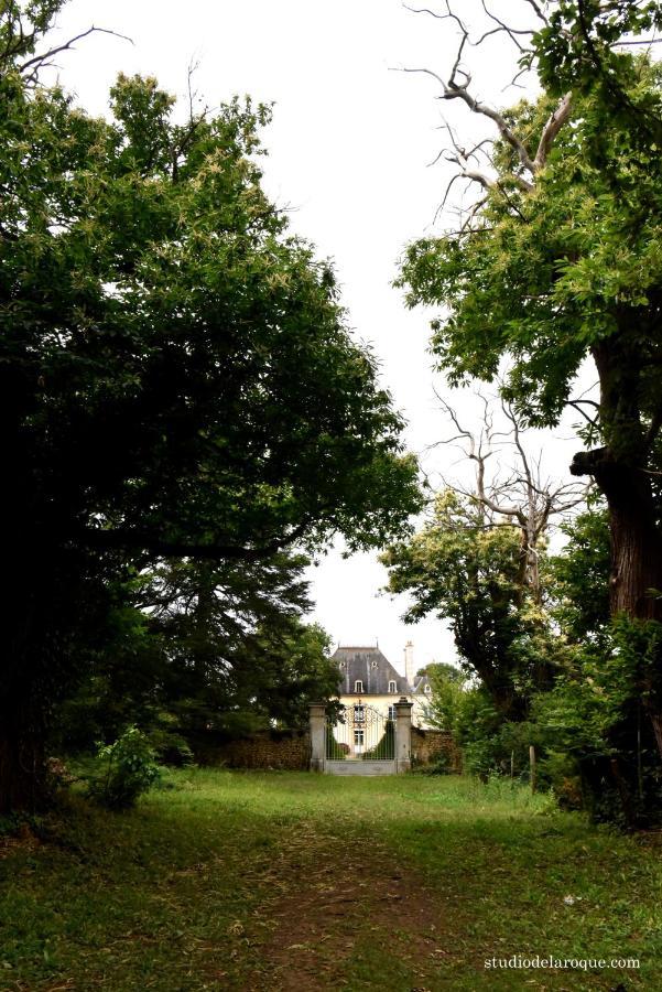 Bed and Breakfast Domaine De La Briouse Sanxay Exterior foto